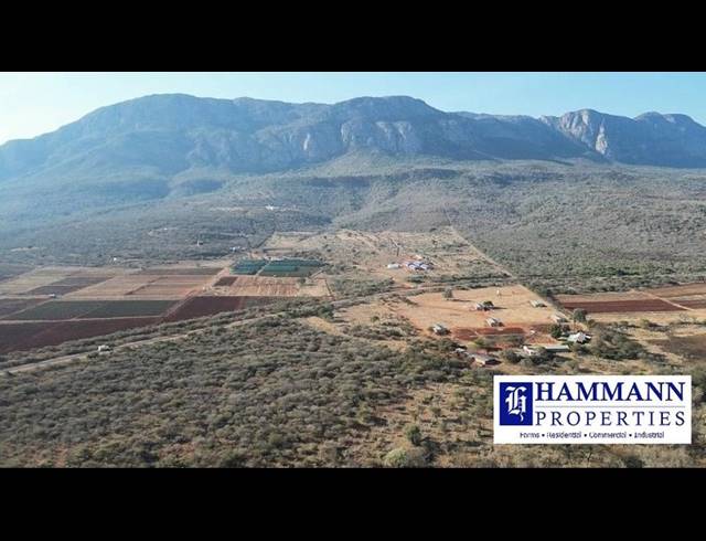 FARM FOR SALE IN LOUIS TRICHARDT RURAL